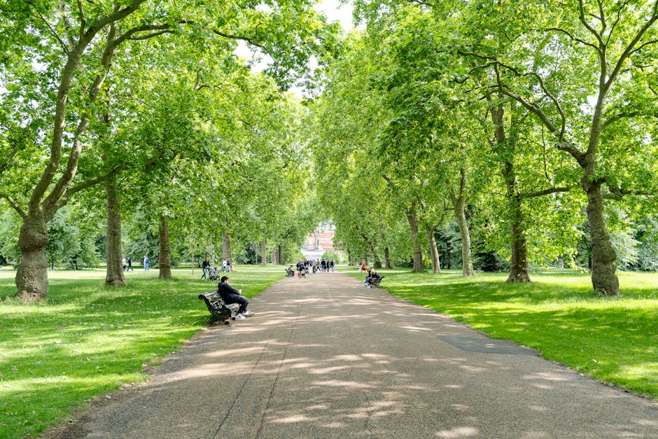 A tree-lined pathway within a park, with lush green foliage forming a canopy overhead. Several park benches are positioned along the gravel walking area, where people are seated, some reading or relaxing, while a few others are walking or strolling in the distance. The surrounding grass is well-maintained and vibrant, with sunlight filtering through the leaves, creating dappled shadows on the ground. Multiple individuals, including some pushing strollers or cycling, can be seen further along the path. The scene captures a peaceful urban park environment typical for public relaxation spaces used during house removals or moving logistics, as depicted by the casual activities and open space. The image reflects a moment of pause amidst a broader context of packing and moving processes managed by Man and a Van Kensington, illustrating the tranquil outdoor elements of home relocation environments, emphasizing transport and logistical planning in a scenic setting.