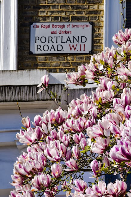 A view of a residential street in the Royal Borough of Kensington and Chelsea during a home relocation process. The image shows a white townhouse with traditional black wrought iron fencing and a small garden containing green plants and pink flowers. In the foreground, there's a paved sidewalk with large stone slabs, alongside black bollards. Partially visible at the bottom left is a parked bicycle leaning against the fence. Inside the property, an open doorway reveals a partially visible staircase leading down to a basement, with cardboard boxes, plastic wrapping, and packing materials stacked near the entrance. A moving van is situated on the pavement close to the property, with a team from Man and a Van Kensington engaged in loading the furniture and packing items onto the vehicle. The scene is well-lit, with natural daylight highlighting the details of the building, equipment, and packing materials involved in the furniture transport and packing and moving process.